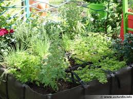 > la salle les alpes 05240 villeneuve. Des Arbres Pour Mon Balcon Plein Sud