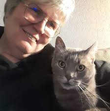 What are some funny or cool under belly pan graphics for bikes?