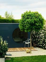 Weitere ideen zu garten, sichtschutz garten, gartengestaltung. Sichtschutz Fur Garten Und Terrasse Die Besten Ideen