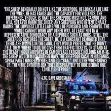 The sheepdog is capable of violence, but only out of love for. 15 Sheepdog Quotes Ideas Sheepdog Quotes Warrior Quotes
