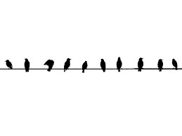 Black And White Bird Pictures Tumblr Backgrounds Black And White Birds Wallpaper Wallpaper Zone Black And White Birds Tumblr Backgrounds Black And White Background