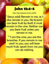 John 15 4 5 New International Version Niv Jesus Said 4 Remain In Me As I Also Remain In You No Branch Ca Jesus Quotes New International Version John 15 4