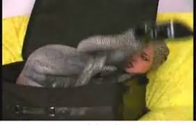 When i was a waitress wearing a white dress look how i do this, look how i got this i was a waitress working the night shift you were my man, felt like i got this down at the men in music business conference down in orlando. Girl Dressed Like A Whore Porn Videos Page 2 Biguz Net
