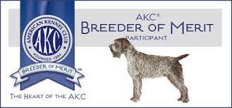 We show as a hobby and have griffs as family pets. Glacier Kennels