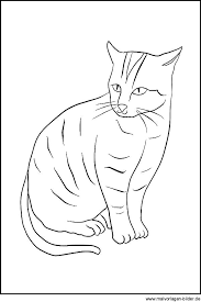Katzen Zeichnung Zum Ausdrucken Katzen Zeichnungen Haustiere Ausmalbilder