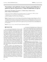 Image result for Kyllingiella microcephala