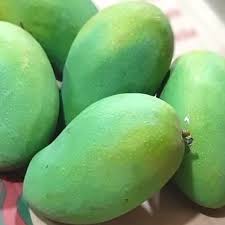 Bisnis budidaya mangga harum manis ini bisa dan cocok dijalankan oleh semua orang. Harga Mangga Harum Manis Harga Terbaru 2020