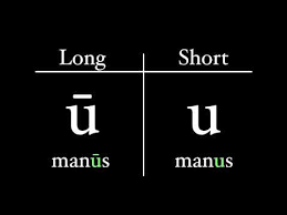 This video covers consonants, which are mostly the same as our. The Latin Alphabet Vowel Pronunciation Youtube
