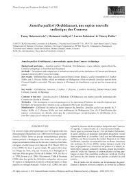 Image result for Jumellea usambarensis