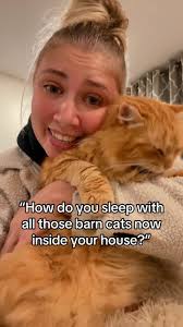 Better than ever actually🥰, #catlife #catlover #catcolony #orangecat  #catsofinstagram #catstagram