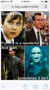 In the stories, children board a train to hogwarts. I Find Harry Potter Memes The Best Bit If You Arn T A Hp Fan Then You Most Likely Won T Find These Funny Harry Potter Amino