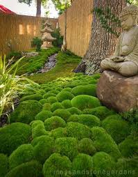 Pin By Lakegirls09 On Back To The Garden Small Japanese Garden Japanese Garden Design Japanese Garden