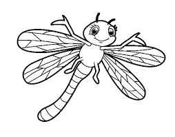 Our free coloring pages include eye catching pictures of dragonflies and are available in printable size. Simple Dragonfly Drawing Color Novocom Top