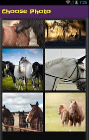 لعبة ترتيب الصور صور خيول For Android Apk Download