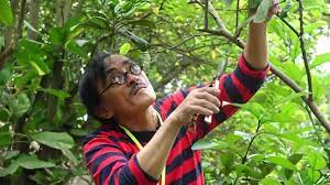Jun 07, 2021 · nghệ sĩ giang còi nhập viện vì bệnh trở nặng trong bức hình được đăng tải, dễ dàng nhận ra tinh thần của nghệ sĩ giang còi vẫn ổn định. Nghá»‡ SÄ© Giang Coi Nháº­p Viá»‡n Vnexpress Giáº£i Tri