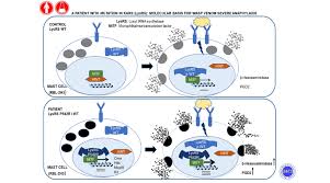 Hymenoptera sting anaphylaxis and urticaria pigmentosa: Researchers Identify A New Molecular Mechanism Related To Severe Anaphylaxis