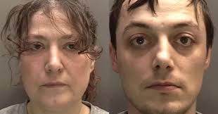 The horror dog attacks that saw pets become 'weapons' and cause chaos