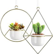 We did not find results for: Buy Zhujerry Mini Hanging Planter Set Of 2 Gold Metal Plant Hanger With 3 5 White Ceramic Pots Modern Wall Ceiling Planters For Succulent Plants Flowers Cactus Herb Indoor Outdoor Online