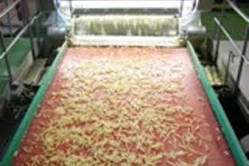 Il en existe plus de 120 variétés qui diffèrent en fonction de la taille, la forme, la couleur, la précocité et la teneur en. Une Usine Xxl Pour Les Frites Mccain