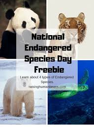 Raisinghumanbeans Com Nbspthis Website Is For Sale Nbspraisinghumanbeans Resources And Information Endangered Species Endangered Endangered Animals
