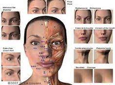 Cette moitié du visage est globalement contractée lors des spasmess, alors que l'autre moitié demeure normale. 33 Idees De Aesthetics En 2021 Medecine Esthetique Esthetique Visage