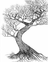 Dessin mignion dessin floral dessin trait dessin noir et blanc carnet de dessin tatouage carte dessin ligne dessin romantique dessin couple. 1001 Idees Pour Dessiner Un Arbre Merveilleux Avec Exemples
