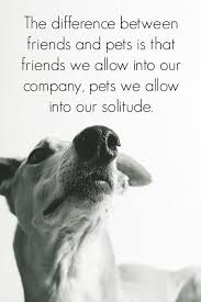 23 Amazing Animal Lover Quotes For Dog And Animal Lovers Dog Quotes Animal Quotes Dogs