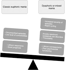 The Burden Of Mixed Symptoms In Bipolar Disorder In Bipolar Disorder Download Scientific Diagram