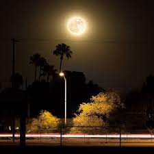 Pin On Moonlight
