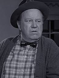 Petticoat Junction: Season 1, Episode 34 | Rotten Tomatoes