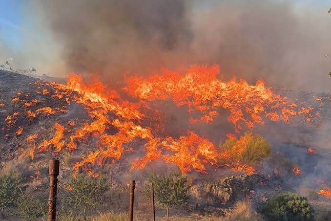 El incendio de Los Gallardos es ya el más grave en la historia de Andalucía y de los más trágicos de España: Es una "tragedia sin precedentes" | Andalucía