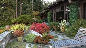 Beautiful drought tolerant plants that will grow in most northern california yards. Dazzling Deer Resistant Perennials Finegardening