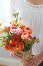 We did not find results for: The Best Non Rose Flowers To Give For Valentine S Day Popsugar Home