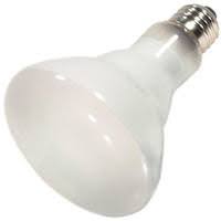 Halogen Light Bulbs At Lightbulbs Com