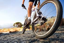 I have seen bicycling clubs where these guys ride ridiculous amounts each the best way to reduce belly fat directly is to build muscles in the region below it, like abdominal muscles. How To Lose Belly Fat By Cycling Biking Reviews