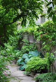 More Ideas For The Narrow Garden Between Suburban Homes Narrow Garden Shade Garden Design Shade Garden