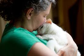 Incorporated in february 1928, the society serves the community by providing shelter and adoption services for displaced pets, by reducing pet. Reports From Oregon Humane Society Globalgiving