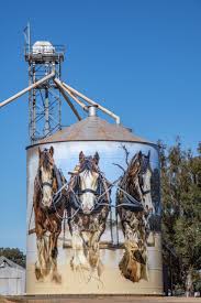 Unique Silo Art Celebrates Local Communities And Fauna Just Me Travel Murals Street Art Silos Building Art
