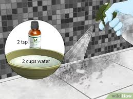 3 ways to clean black mold wikihow life