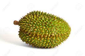 Learn how to buy and prepare popular tropical fruits like mango, papaya, durian, and jackfruit, as well as find out about their many uses in cuisine. Green Tropical Fruit Durian On White Background Exotic Fruit Durian Studio Photo Thailand Delicatessen Spiky Peel And Sweet Flesh Of Tropical Fruit Thai Sweet Food Stock Photo Picture And Royalty Free Image