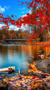 Hashtags Gorgeous Pretty Leaves Colourful Autumn Fall Beautiful Photo Photograph Nature Colorful Trees Autumn Scenery Beautiful Landscapes Scenery
