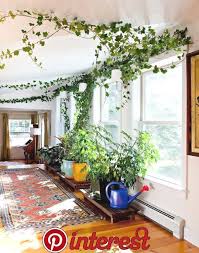 A Comprehensive Overview On Home Decoration In 2020 Met Afbeeldingen Kamerplant Decor Plantendecor Binnenshuis Tuinieren