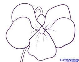 How To Draw A Violet Flower Drawing Flower Drawing Tutorials Drawings