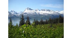 Maybe you would like to learn more about one of these? The Port Valdez Company Partners With Great Land Trust To Create New Public Recreation Area In Valdez Alaska
