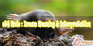 To dream of a red wedding dress represents negative intentions that are driving a permanent choice. 52 Dream Of Wearing A Wedding Dress White Black Dress Dream Meaning