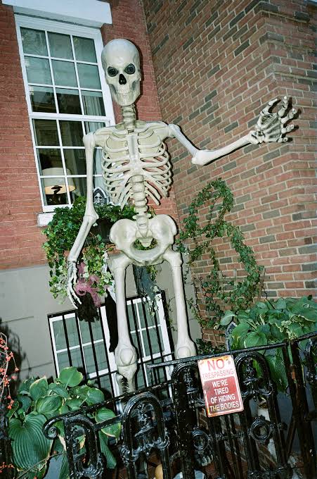 Have Halloween Decorations Become Too Scary? - The New York Times