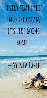 Happy New Year Beach With Friends Quotes 2018 Diving Quotes Ocean Quotes Scuba Diving Quotes