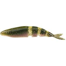 My 3 boys who love to fish went inside to buy some tackle. Lake Fork Live Magic Shad 14cm Fire Perch Fishfriender