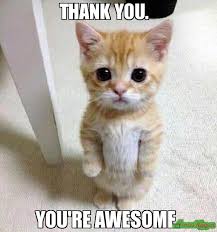 Thank you meme, bing images. Thank You Meme Memeshappen
