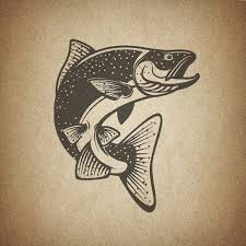 Salmon Salmon Fish Salmonfish Trout Vector Image Fishing Logo Design Graphicdesign Seafood Shutterstock V Salmon Tattoo Trout Tattoo Fish Drawings